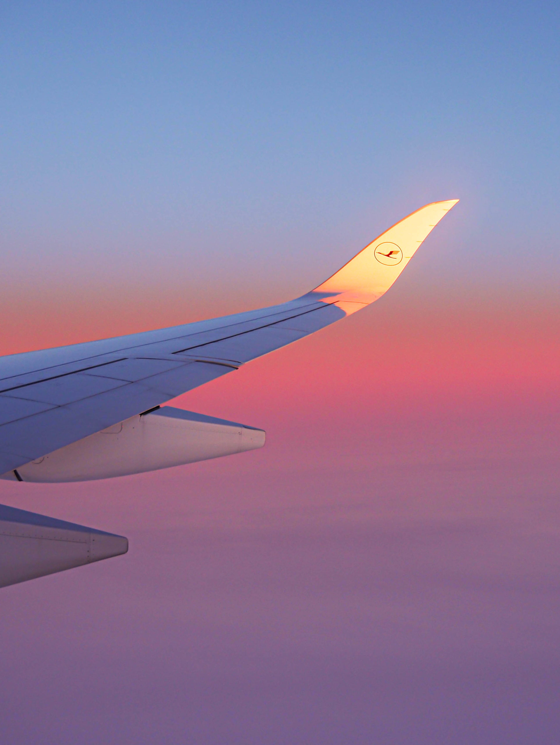 plane view on sunset