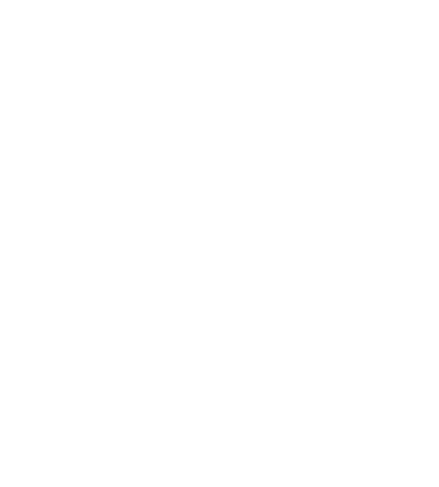 3 peaks logo with mountains