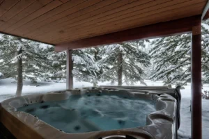 Covered hot tub in the forest and mountains